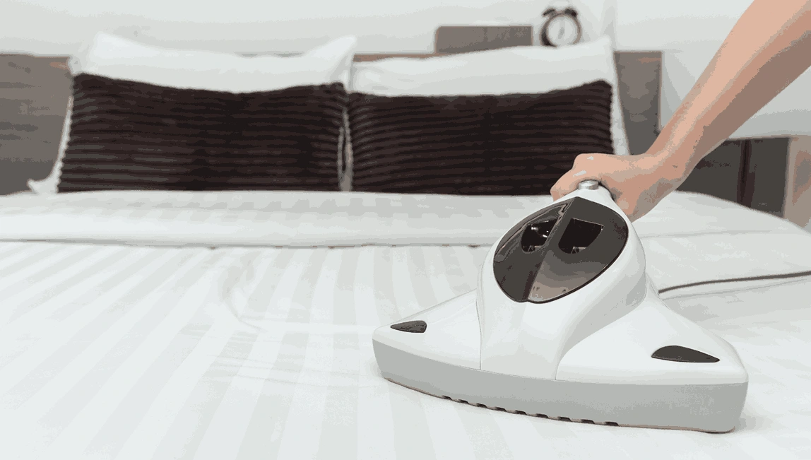 Professional Mattress Cleaning Curlewis